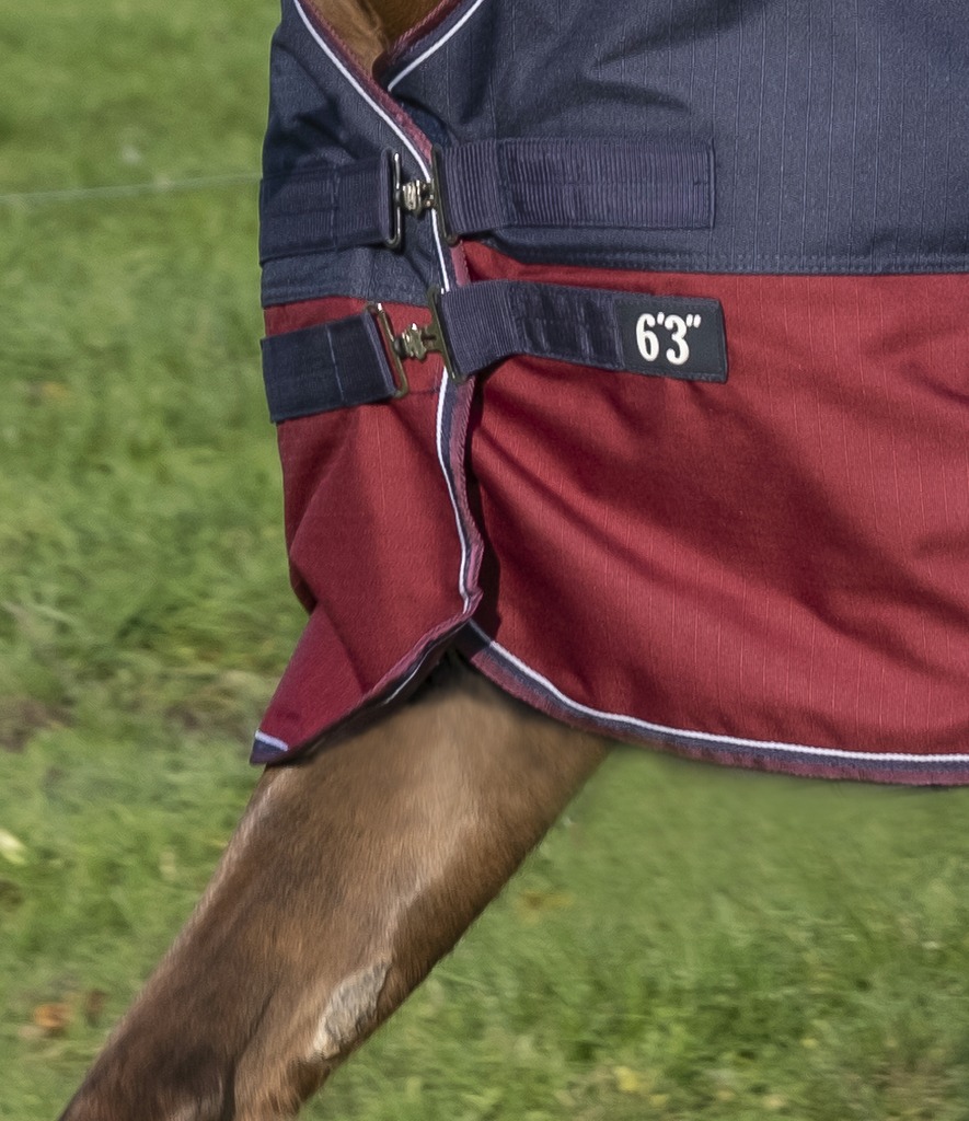 Produktansicht - EQUITHÈME - Tyrex Outdoordecke High Neck 1200D
