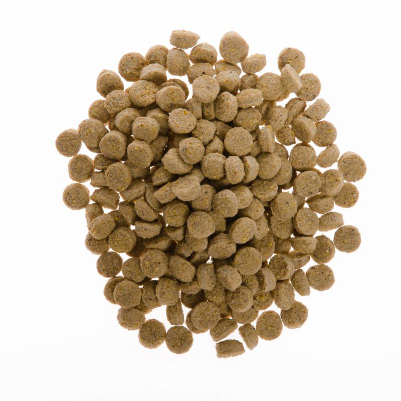 Produktansicht - Dreesy - Klicker Starter Set