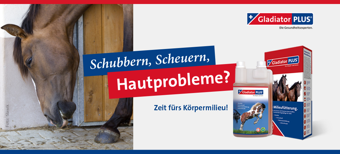 Bild - gladiator_hautprobleme_pferd_m_072025