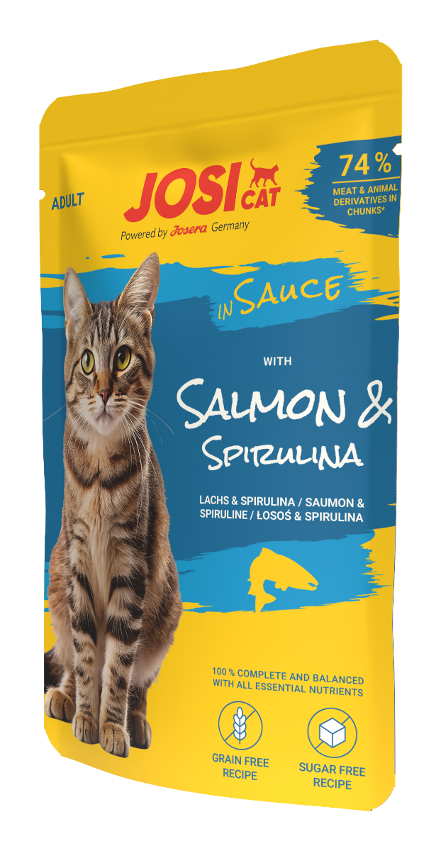 with salmon in sauce
