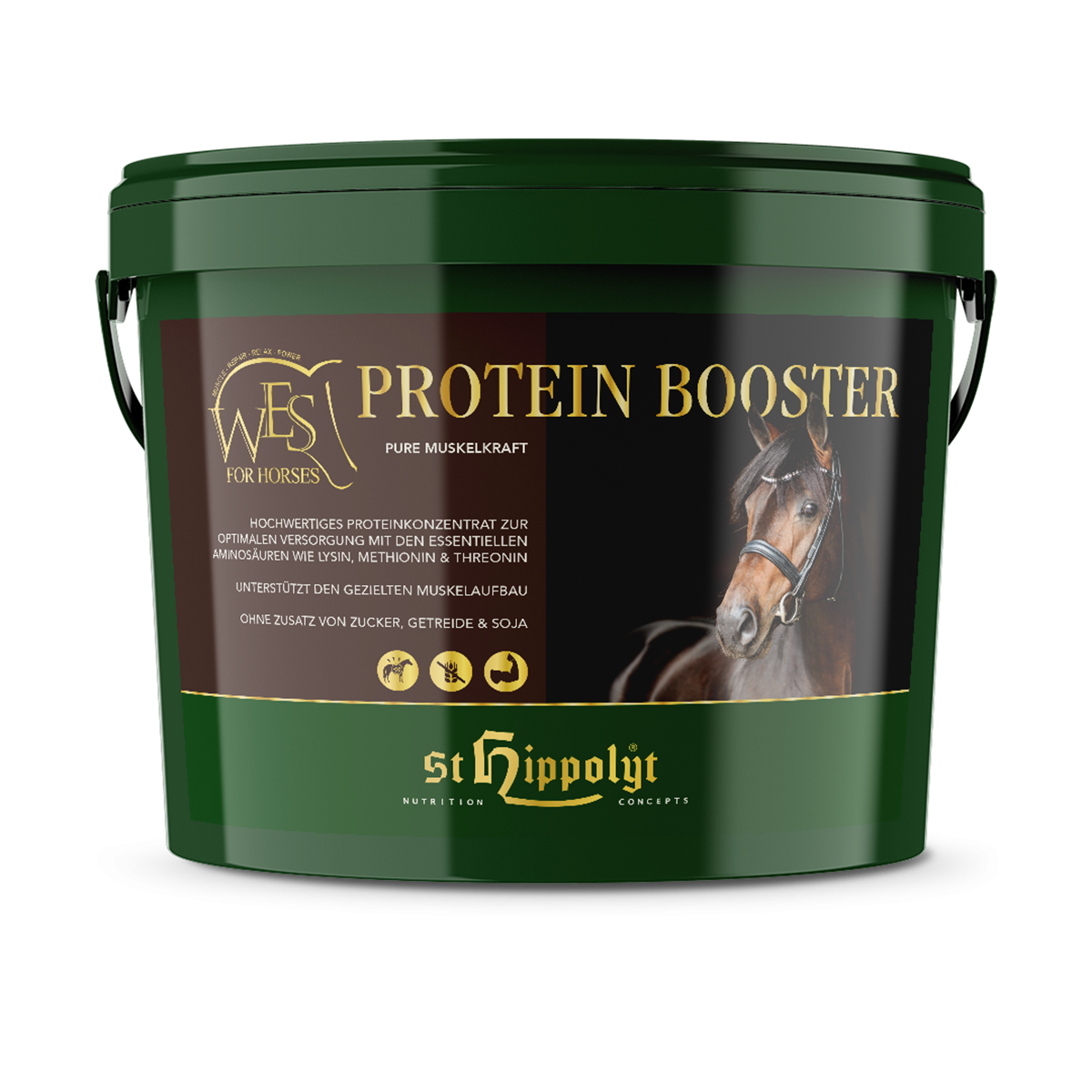 WES Protein Booster