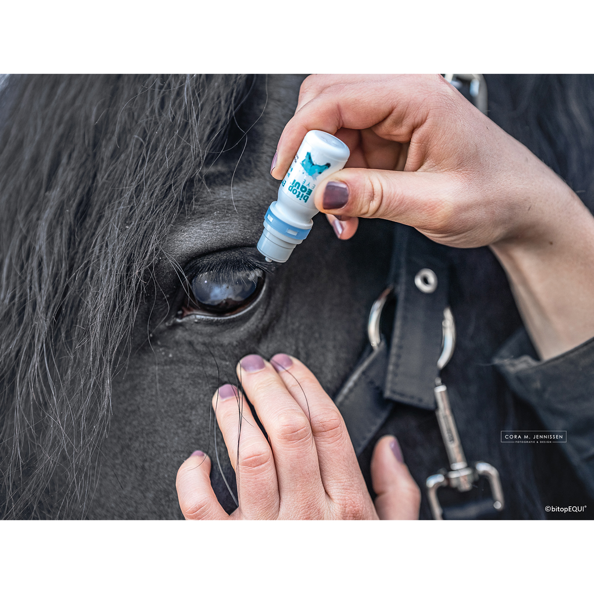 Produktansicht - bitopEQUI® - EYE Drops
