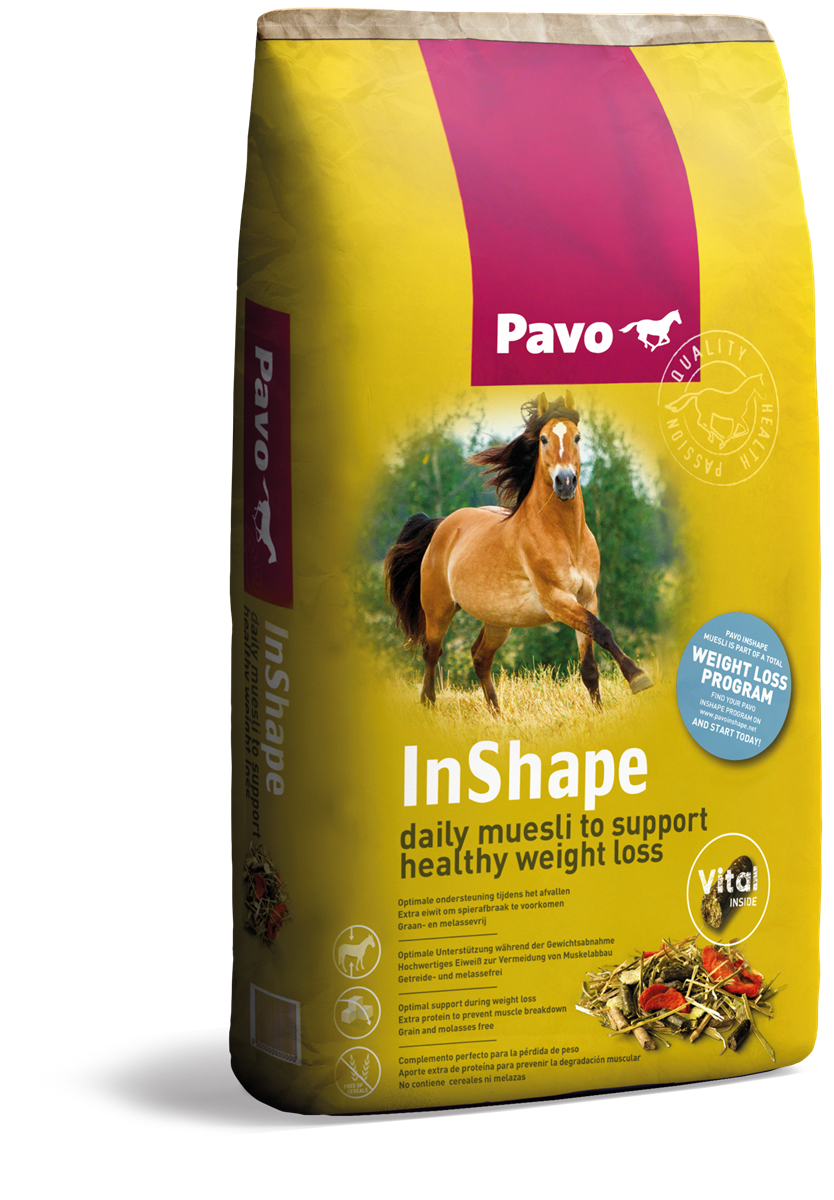 InShape